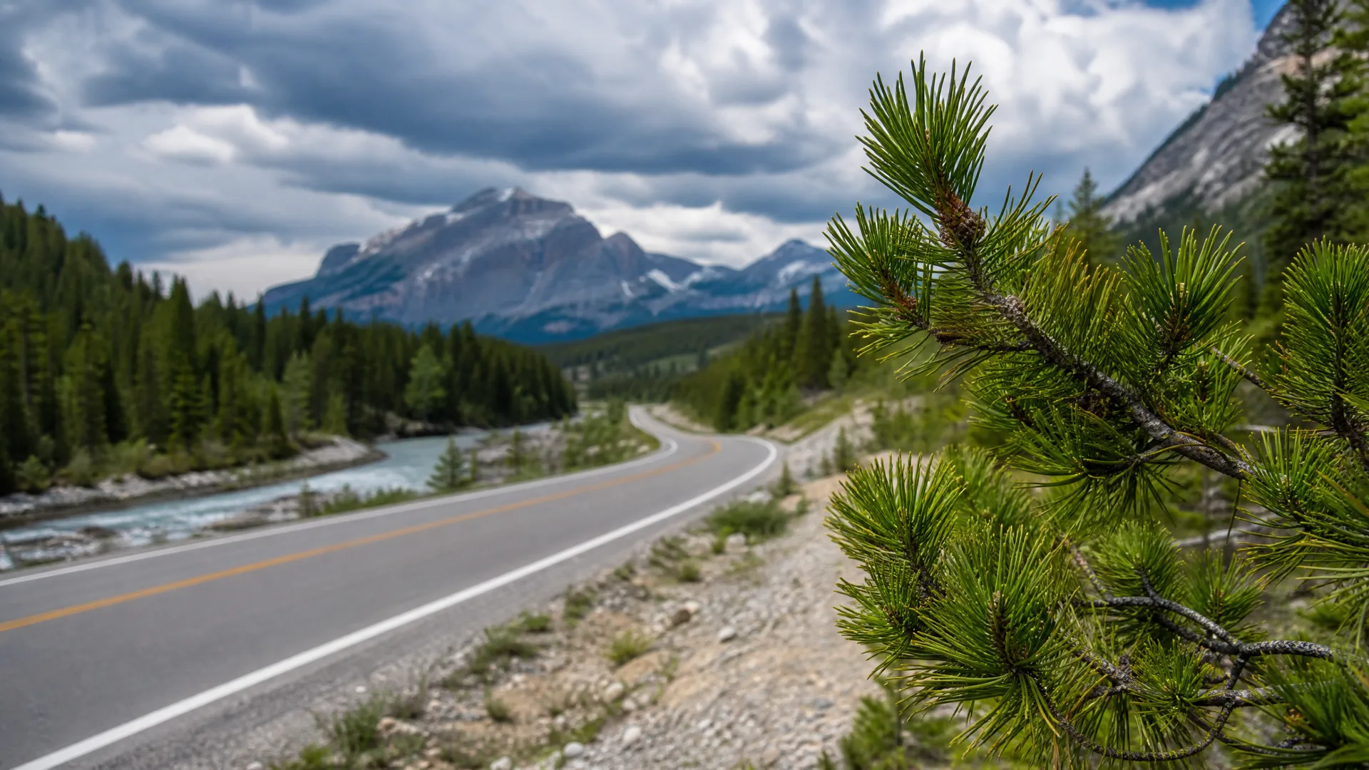 A two-lane paved road curves through a conifer-forested valley beside a pale turquoise river, with a rocky snow-streaked mountain under cloudy skies and a pine branch in sharp focus in the right foreground.
