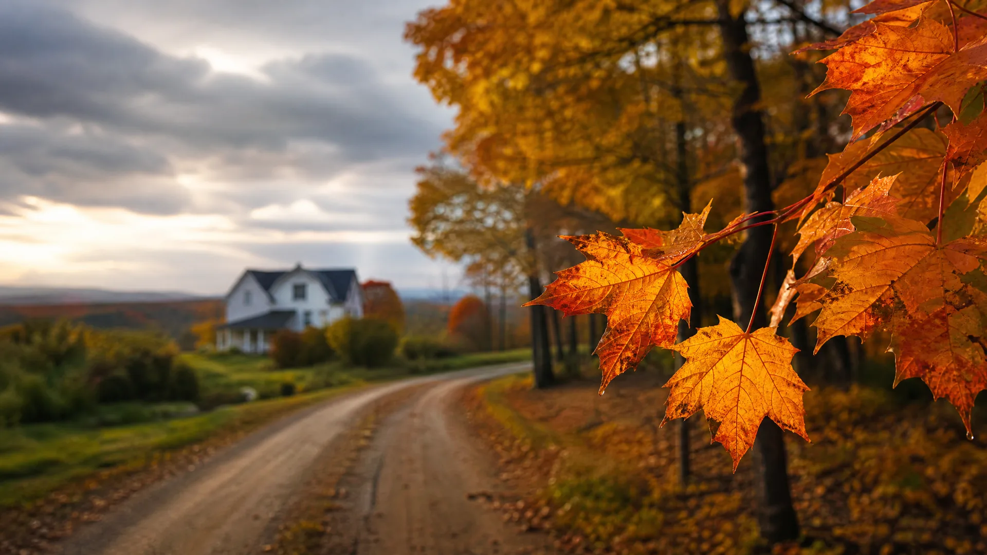 A close-up of orange maple leaves on a branch beside a curving dirt road, with a white farmhouse and autumn trees blurred in the background under a cloudy sky.